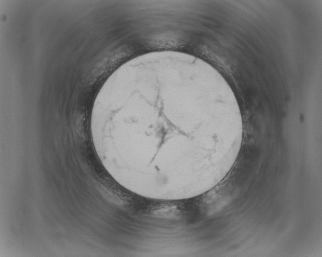 X0000067840162200604131235