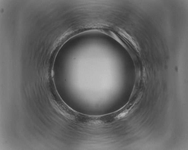 X0000067840203200604131234