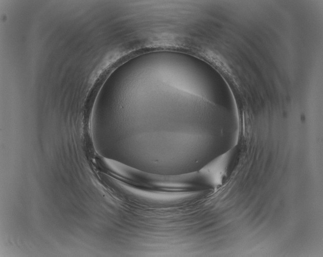 X0000067840204200604131234