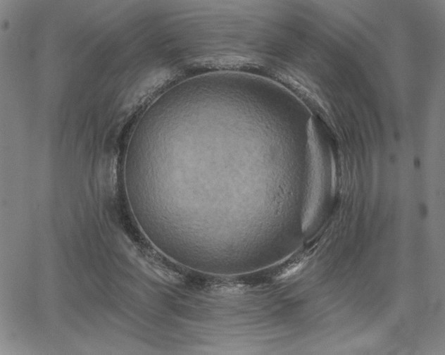 X0000067840206200604131234