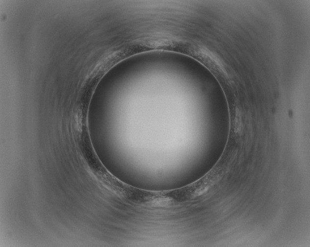 X0000067840210200604131234
