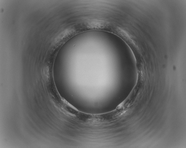X0000067840211200604131234