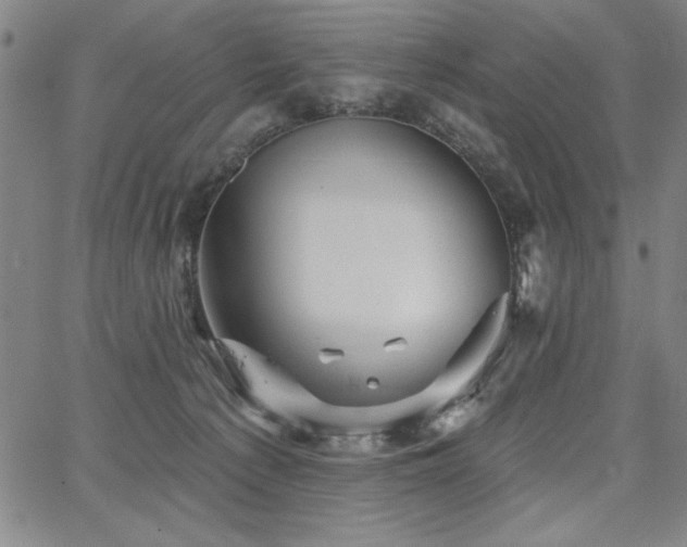 X0000067840225200604131234