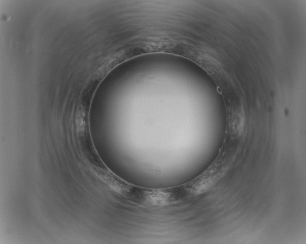X0000067840226200604131234