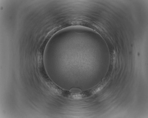 X0000067840228200604131234