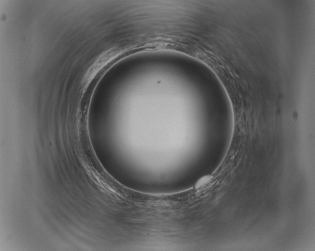 X0000067840242200604131233