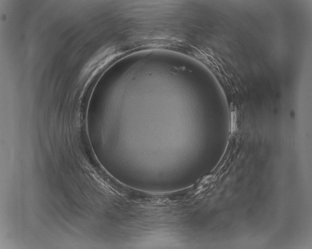 X0000067840243200604131233
