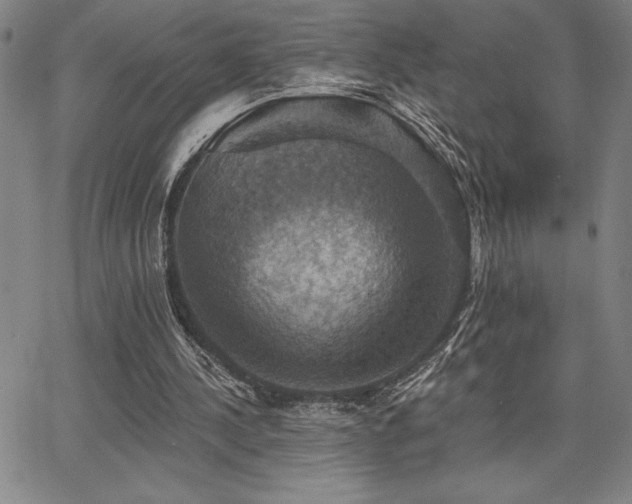 X0000067840244200604131233