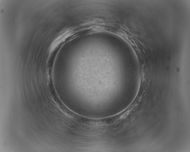 X0000067840245200604131233