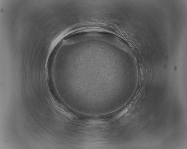 X0000067840246200604131233