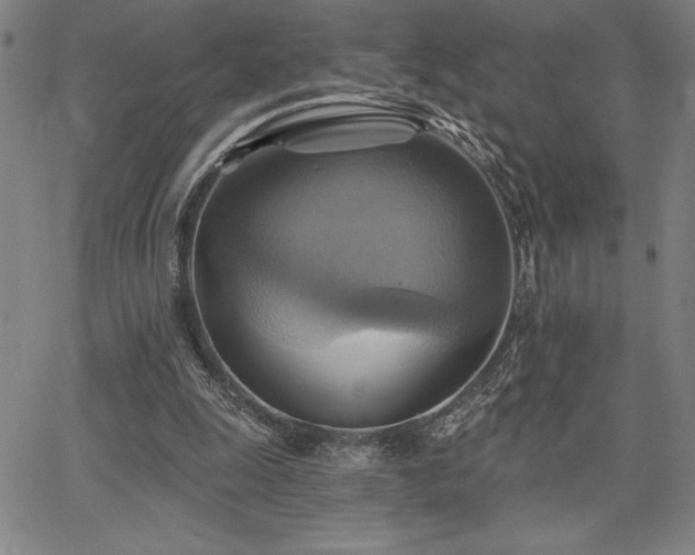 X0000067840247200604131233