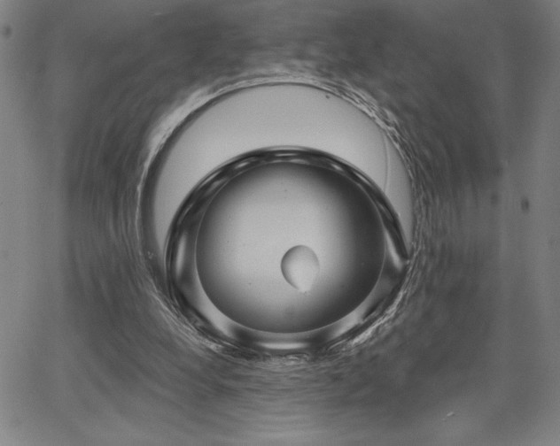 X0000067840248200604131233
