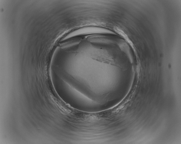 X0000067840249200604131233