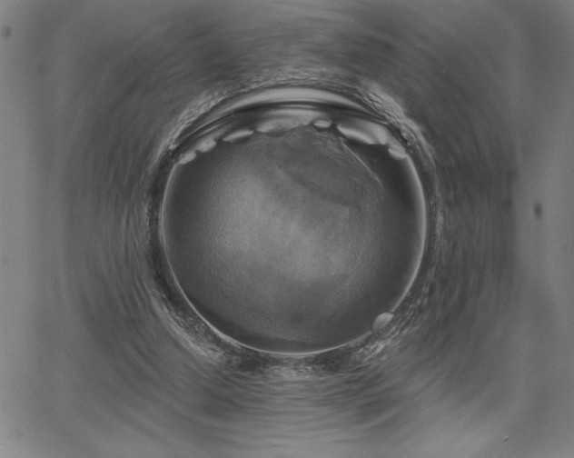 X0000067840250200604131233