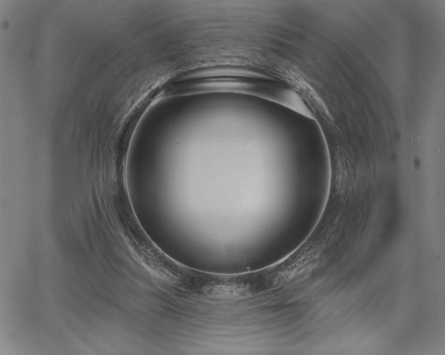 X0000067840251200604131233