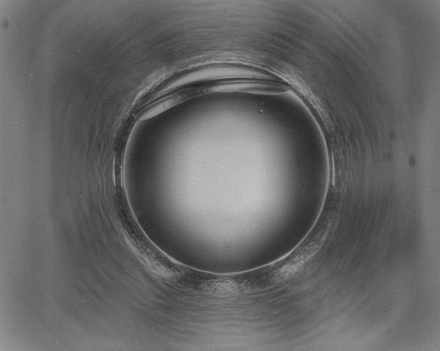 X0000067840253200604131233