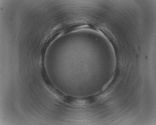 X0000067840260200604131233