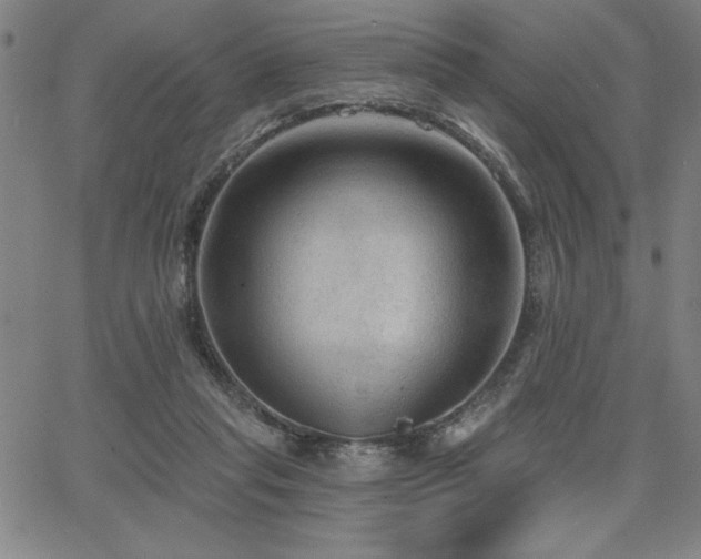 X0000067840261200604131233