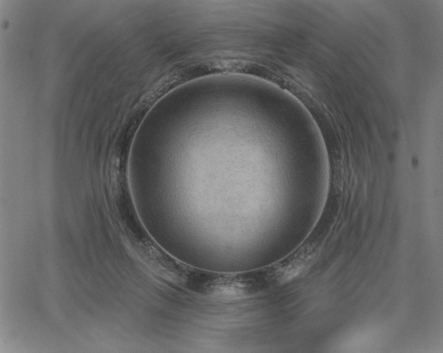 X0000067840263200604131233