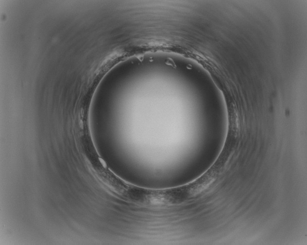 X0000067840264200604131233