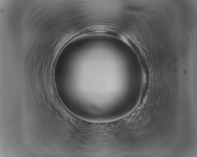 X0000067840289200604131233