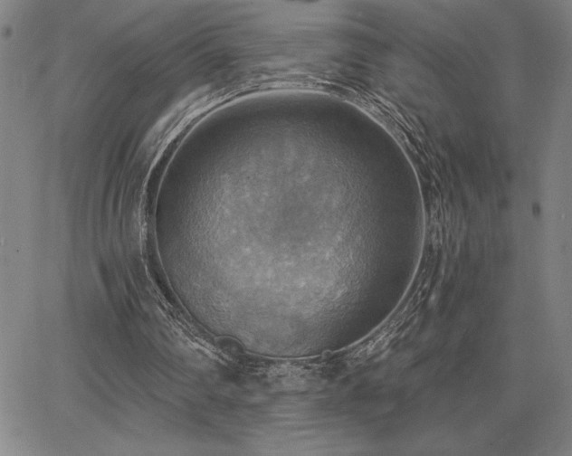 X0000067840290200604131233