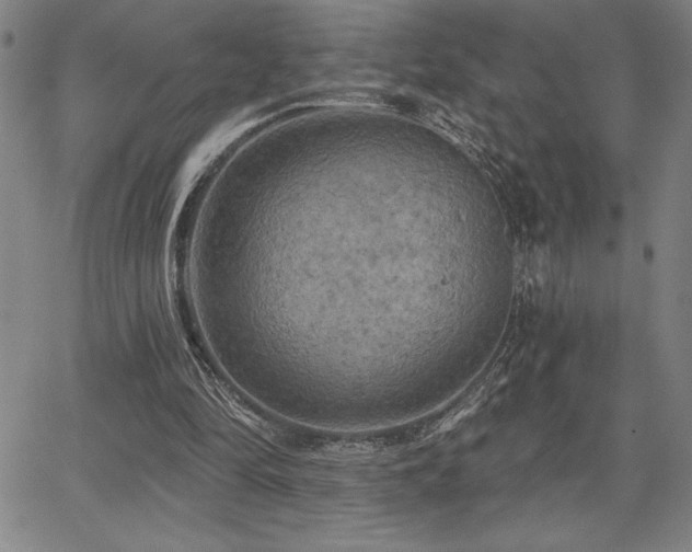 X0000067840294200604131233