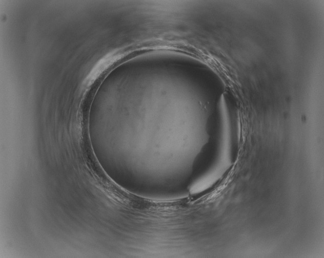 X0000067840295200604131233