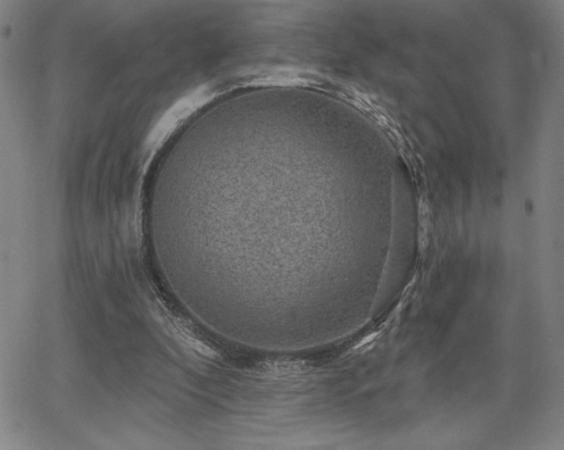 X0000067840296200604131233