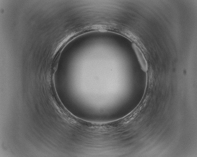 X0000067840297200604131233