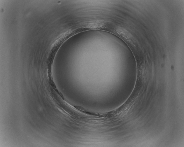 X0000067840303200604131233