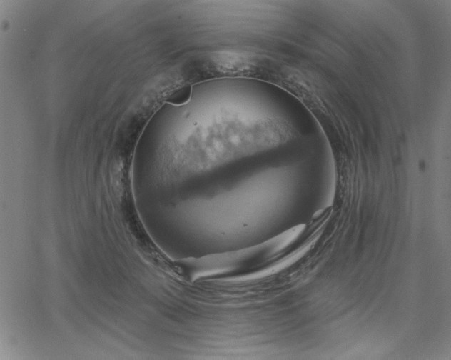 X0000067840319200604131232