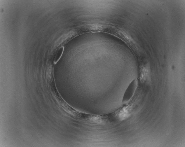 X0000067840325200604131232