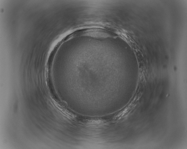 X0000067840342200604131231