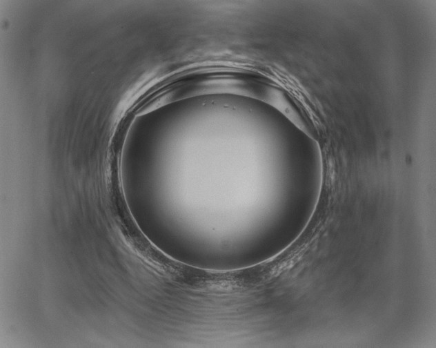 X0000067840344200604131231
