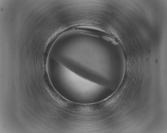 X0000067840349200604131231
