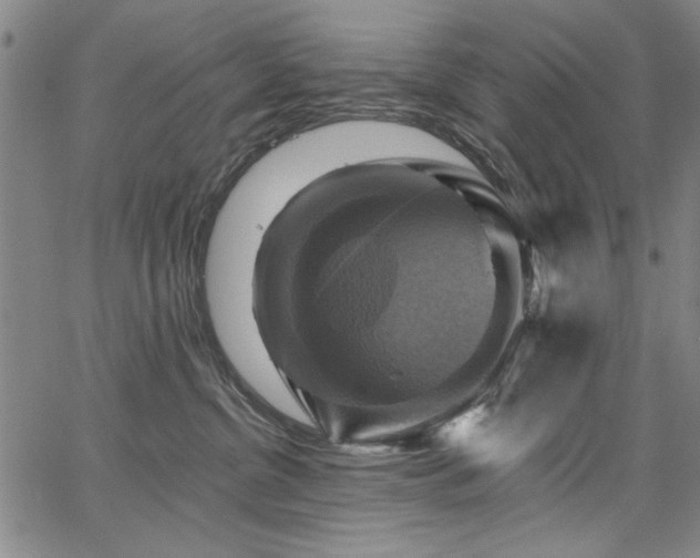 X0000067840380200604131232