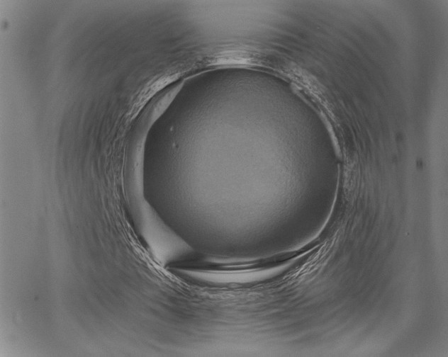 X0000067840385200604131231