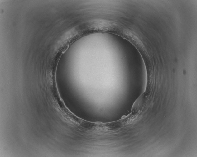 X0000067840403200604131231