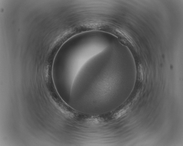 X0000067840404200604131231