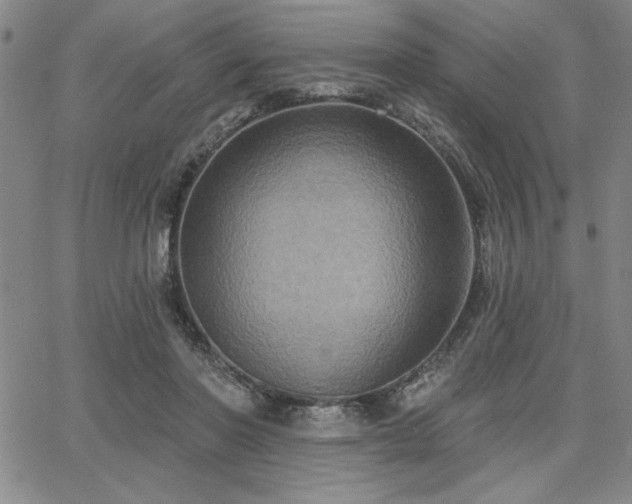 X0000067840406200604131231