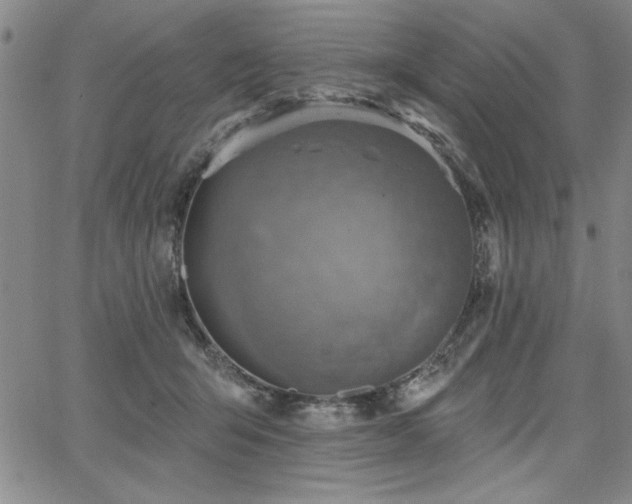 X0000067840415200604131231