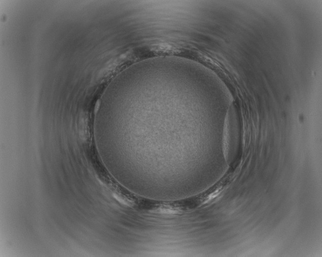 X0000067840416200604131231