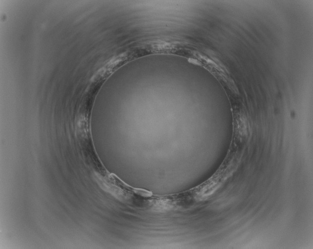 X0000067840419200604131231