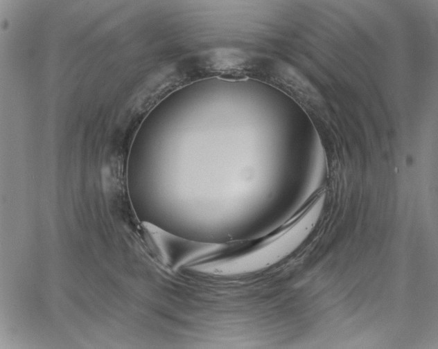 X0000067840421200604131231