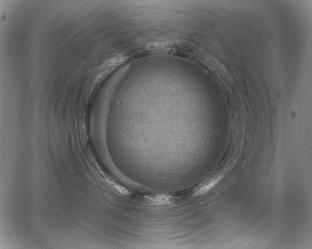 X0000067840432200604131230