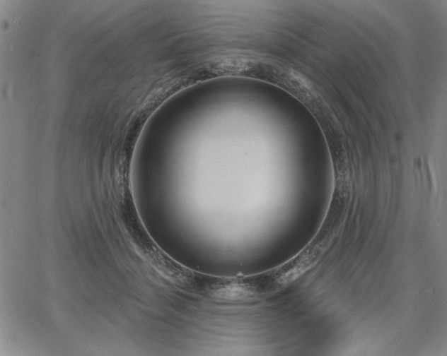 X0000067840460200604131230