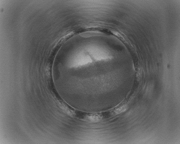 X0000067840466200604131230