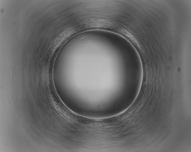 X0000067840482200604131230