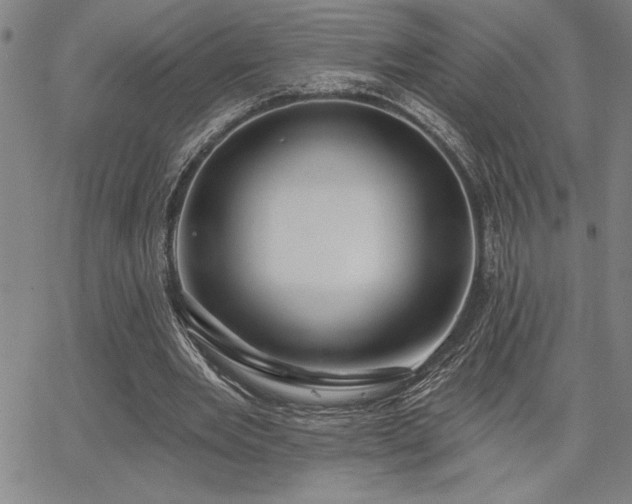 X0000067840485200604131230